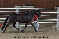 aktuelles201322
