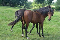 aktuelles201341