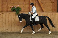 aktuelles201345 aktuelles201345