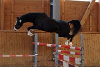 aktuelles201347