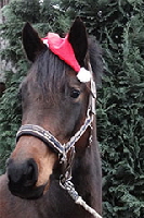 aktuelles201353