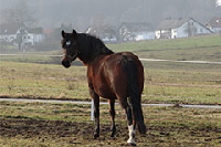 aktuelles201401