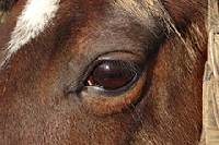 aktuelles201403