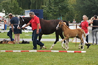 aktuelles201434
