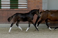 aktuelles201436