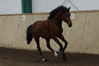 aktuelles201440