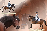 aktuelles201501 aktuelles201501
