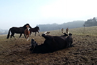 aktuelles201507 aktuelles201507