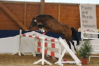 aktuelles201508