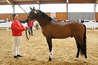 aktuelles201509 aktuelles201509