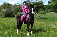 aktuelles201520 aktuelles201520