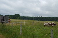 aktuelles201521