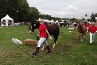 aktuelles201529