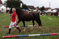 aktuelles201530 aktuelles201530
