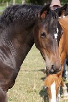 aktuelles201533