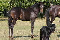 aktuelles201534 aktuelles201534
