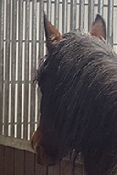 aktuelles201604
