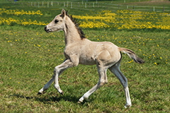 aktuelles201621