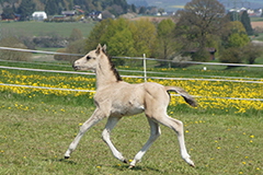 akutelles201622 akutelles201622