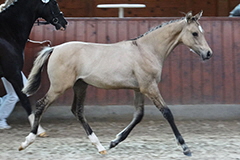 akutelles201630 akutelles201630