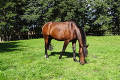 akutelles201634