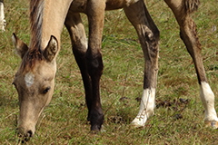 akutelles201636