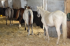 akutelles201643.