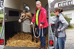 akutelles201644.