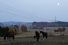 akutelles201649.
