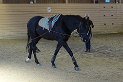 akutelles201655