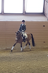 aktuelles201706