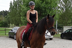 aktuelles201735