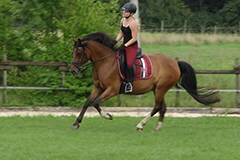 aktuelles201736 aktuelles201736