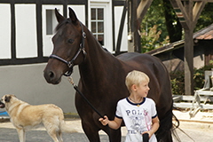 aktuelles201744