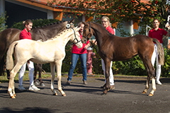 aktuelles201751