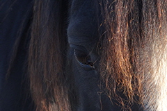 aktuelles201805 aktuelles201805