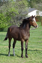 aktuelles201814
