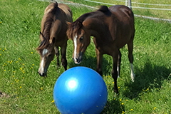 aktuelles201819 aktuelles201819