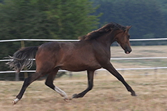 aktuelles201822