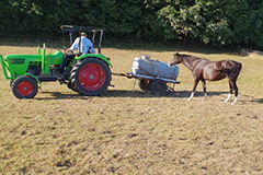 aktuelles201826