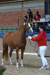 aktuelles201831